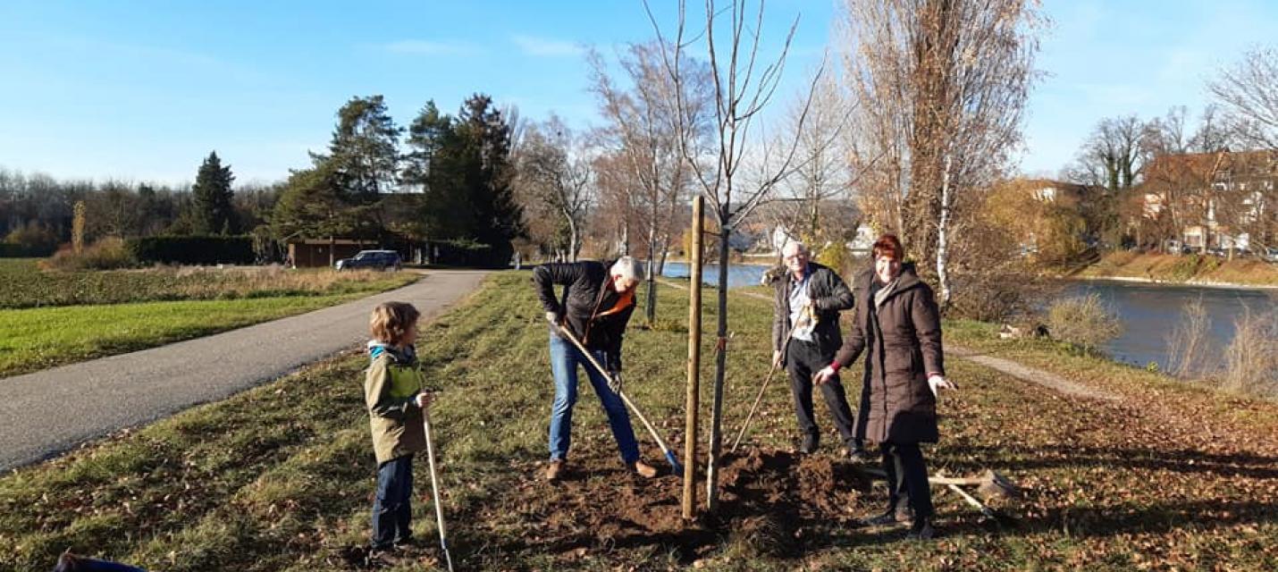 Baumpflanz-Aktion 2021