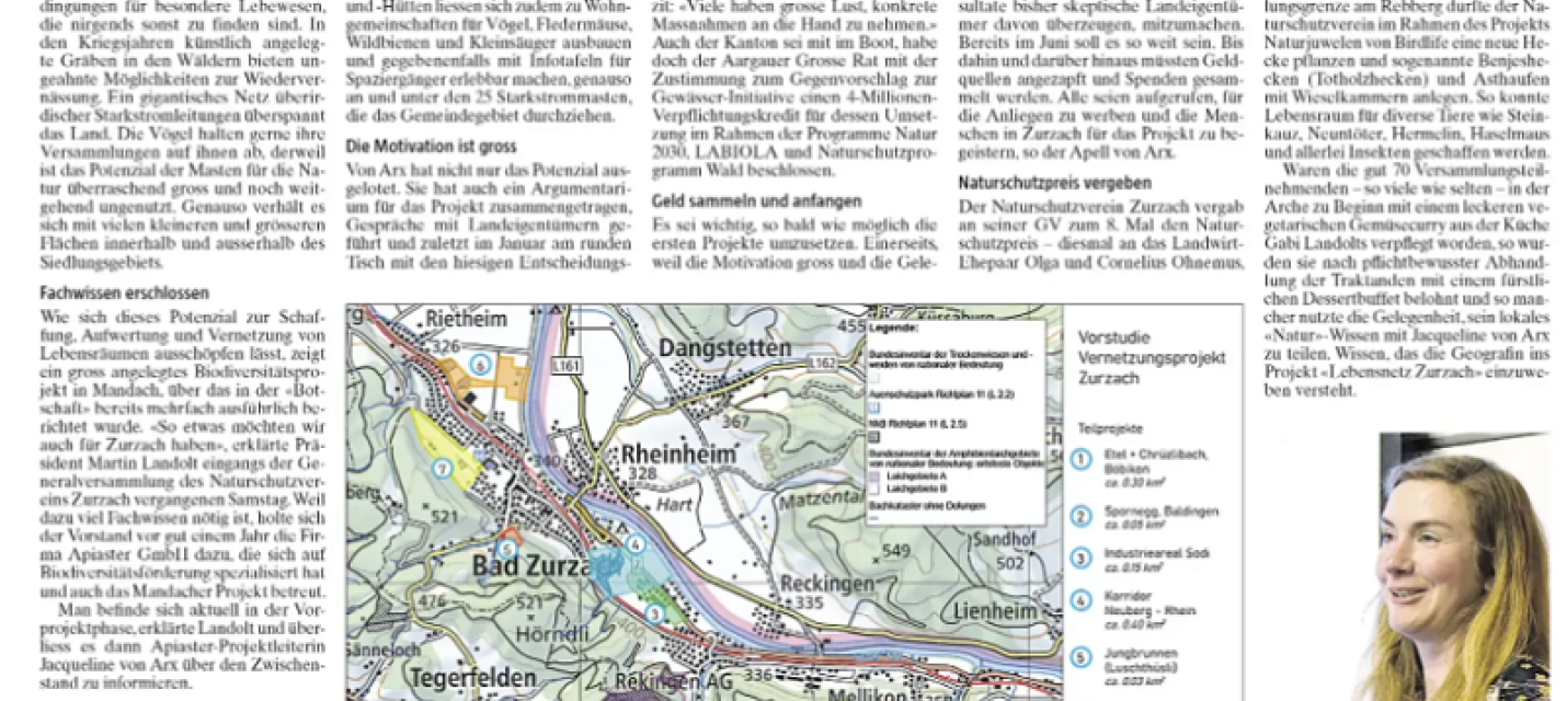 Artikel "Die Botschaft"